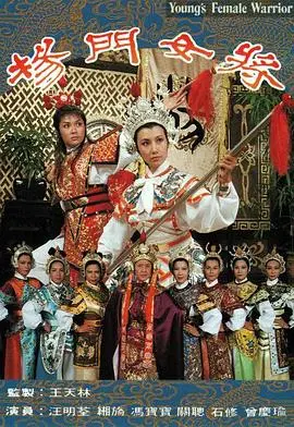 巾帼不让须眉！《杨门女将》：家国情怀下的女性史诗，热血燃爆你的爱国魂！