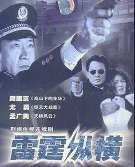 《雷霆纵横》：一场惊心动魄的数字风暴，当代码编织生死，悬疑推理的终极博弈