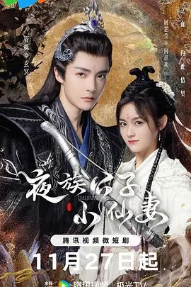 《夜族公子小仙妻》：当千年古墓遇上呆萌小神医，一段跨越生死的奇幻爱恋就此展开